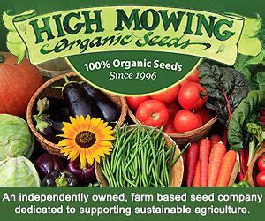 High mowing seeds - This includes succession market produce such as lettuce, broccoli, Bok choy, radish, sugarloaf, cabbage, Swiss chard, leeks, and onions. As for grains, we grow Non-GMO Conventional Soybean for milled animal feed. Since 2018, we’ve added Industrial Fiber for the textile and material manufacturing markets.”.